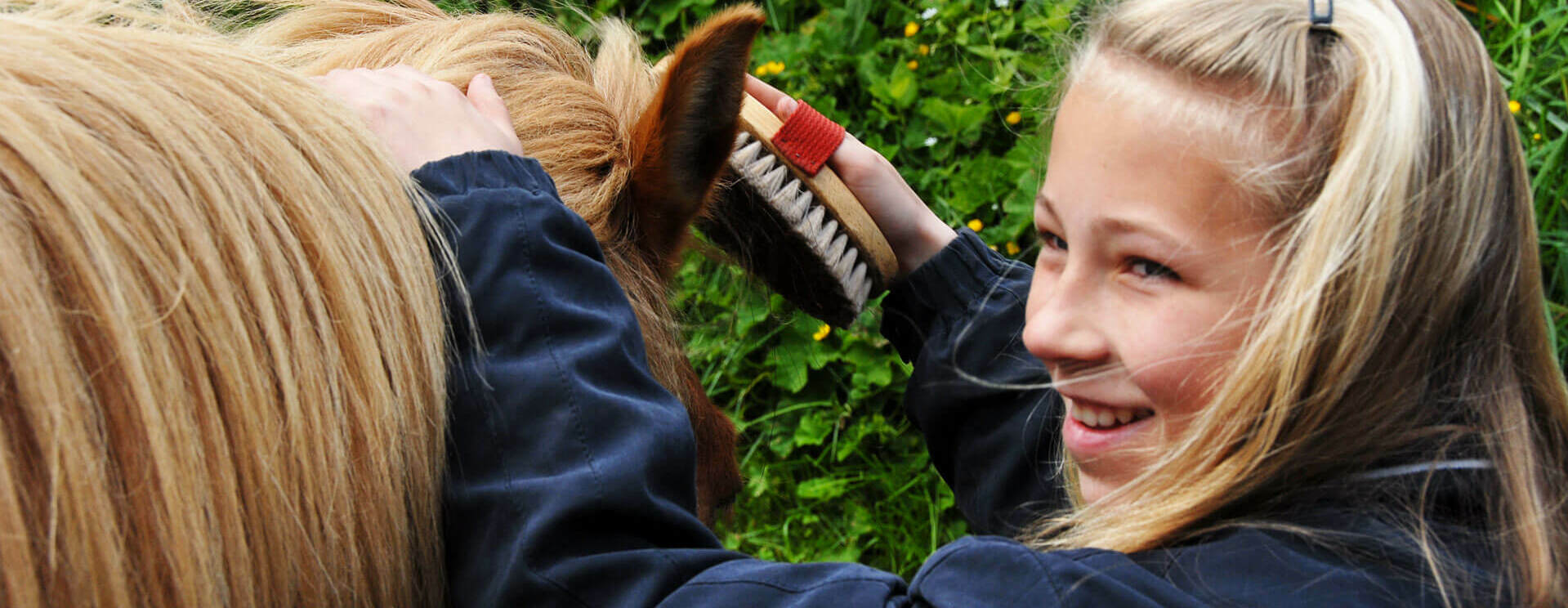 Equine Opportunity Program